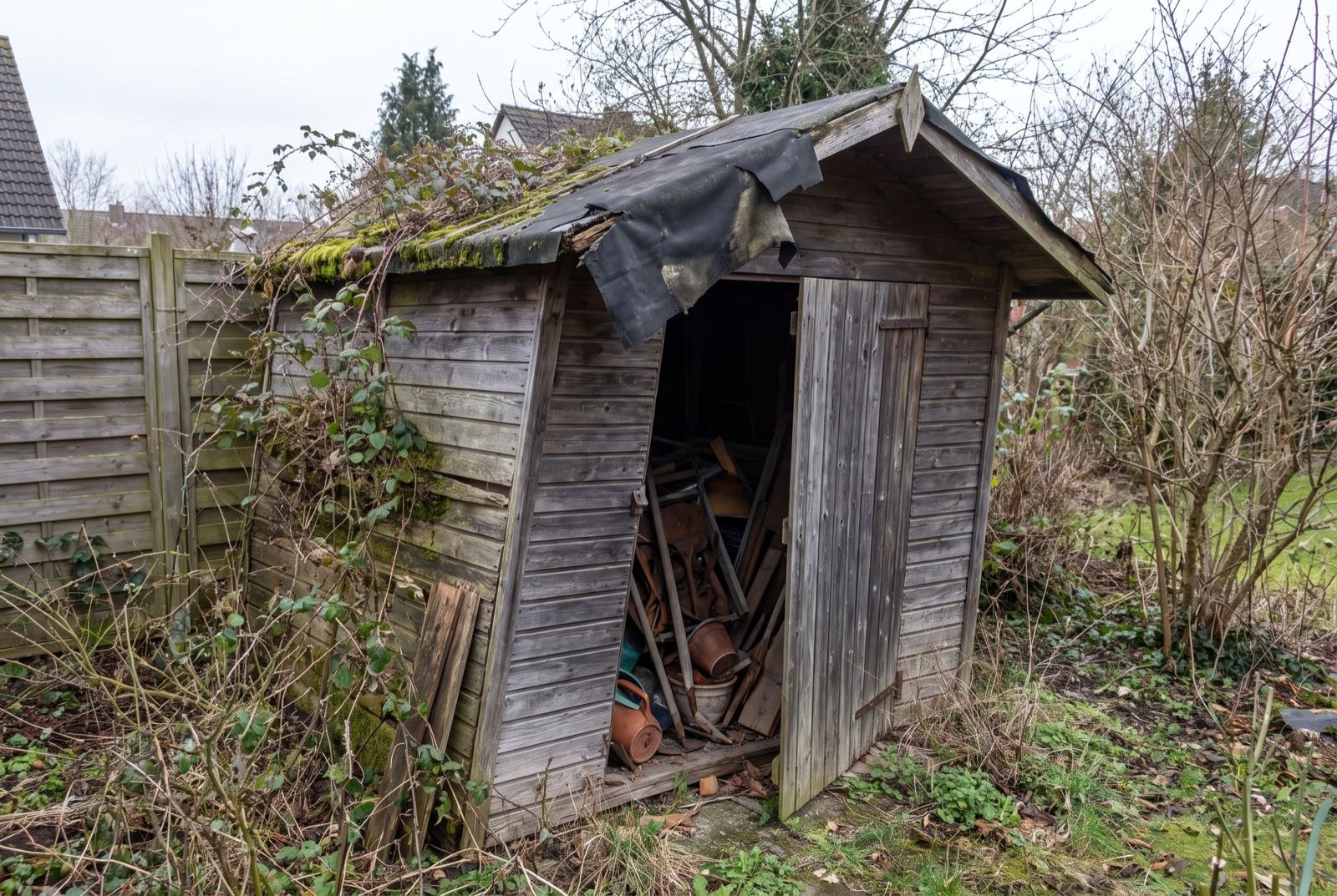 Baufälliger, überwucherter Holzschuppen mit eingerissener Dachpappe in der Grundstücksecke